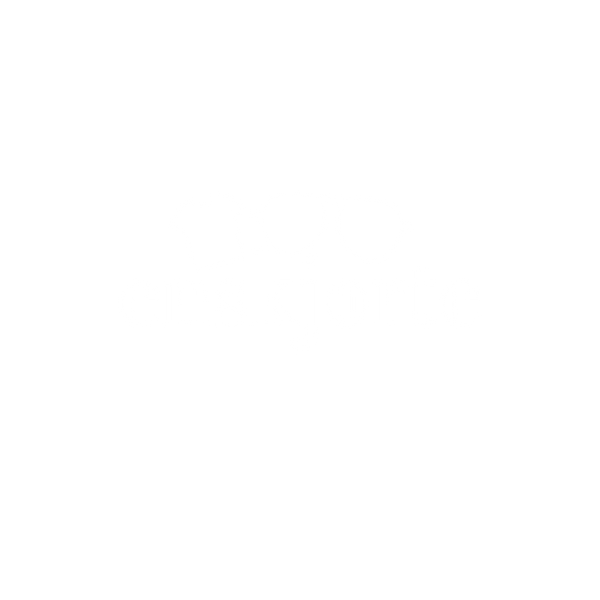 EnSkjorte